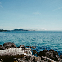 呼叫TA急速系统